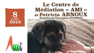 Intervenante dans un cycle de formation de médiateurs indépendants à Nice