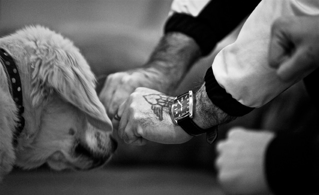 Médiation animale : en prison, les chevaux sont les alliés de la  réinsertion - Le Parisien